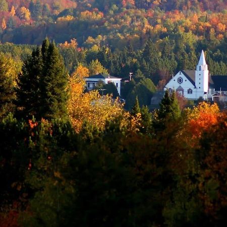 Your Cozy Cabin Retreat Saint-Remi-d'Amherst エクステリア 写真