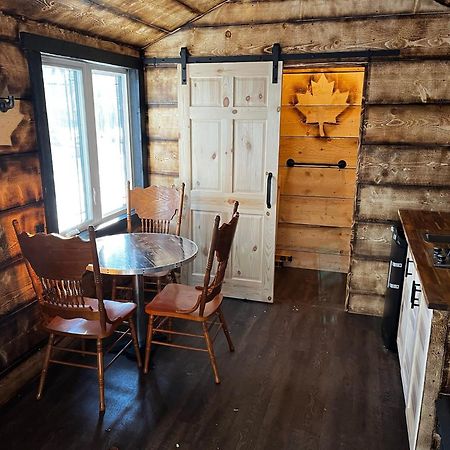 Your Cozy Cabin Retreat Saint-Remi-d'Amherst エクステリア 写真