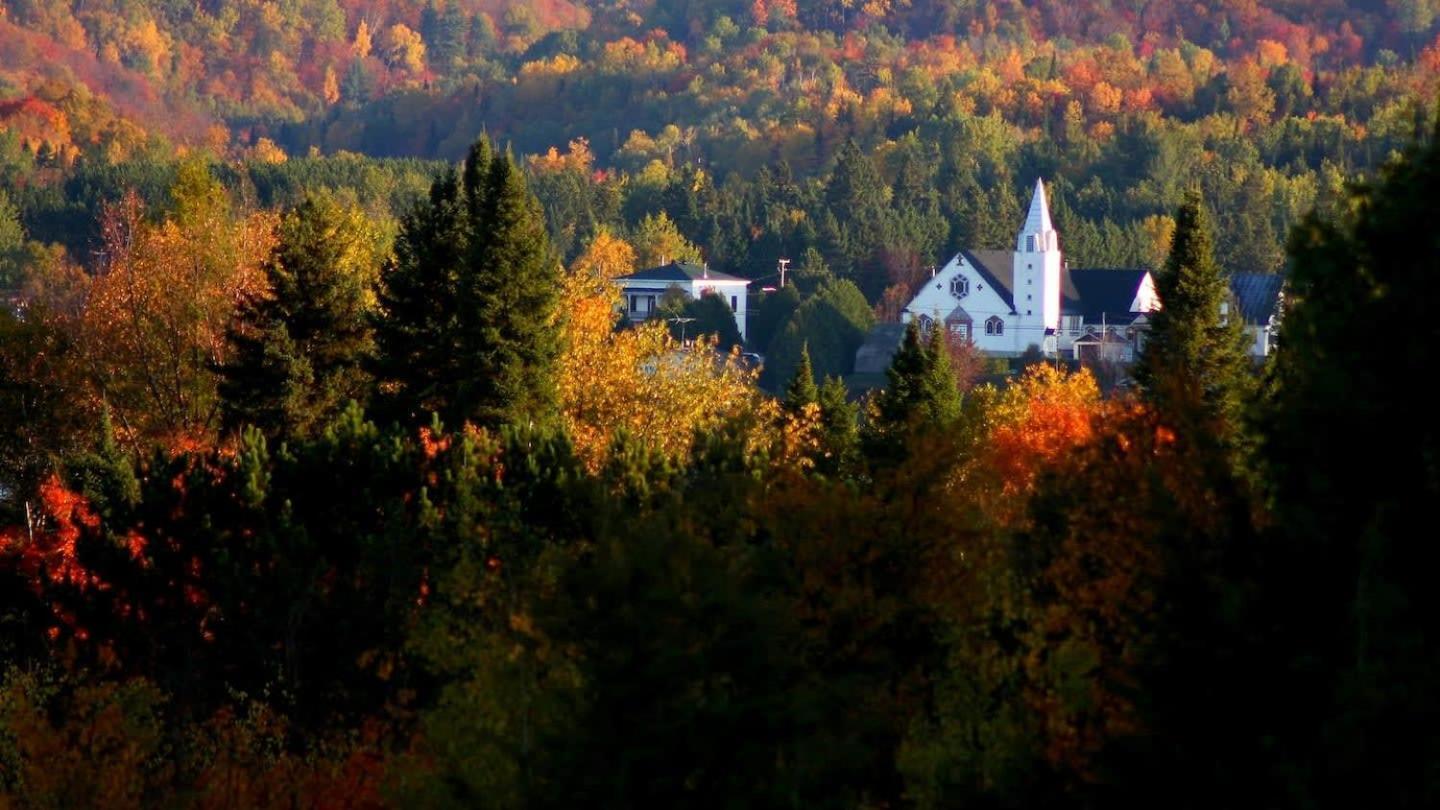 Your Cozy Cabin Retreat Saint-Remi-d'Amherst エクステリア 写真